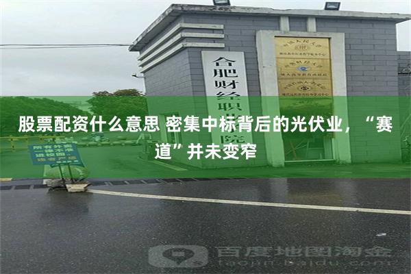 股票配资什么意思 密集中标背后的光伏业，“赛道”并未变窄