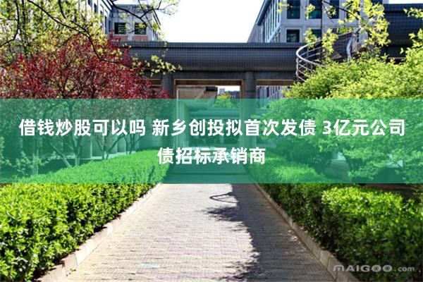 借钱炒股可以吗 新乡创投拟首次发债 3亿元公司债招标承销商