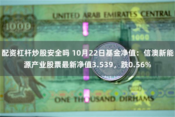 配资杠杆炒股安全吗 10月22日基金净值：信澳新能源产业股票最新净值3.539，跌0.56%