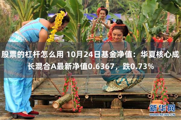 股票的杠杆怎么用 10月24日基金净值：华夏核心成长混合A最新净值0.6367，跌0.73%