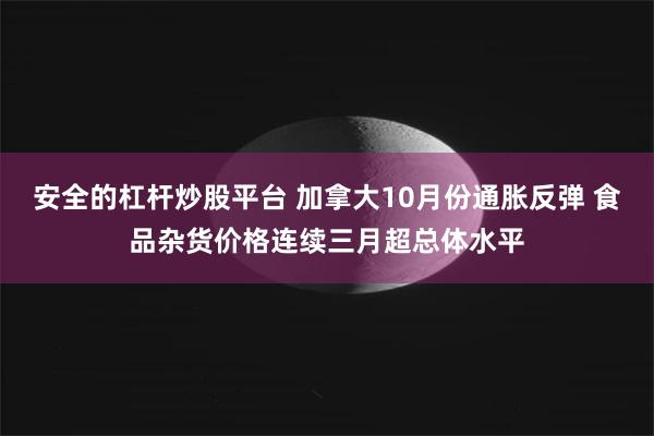 安全的杠杆炒股平台 加拿大10月份通胀反弹 食品杂货价格连续三月超总体水平