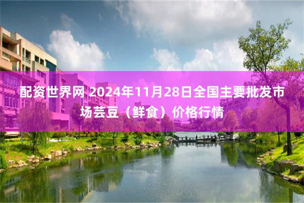 配资世界网 2024年11月28日全国主要批发市场芸豆（鲜食）价格行情