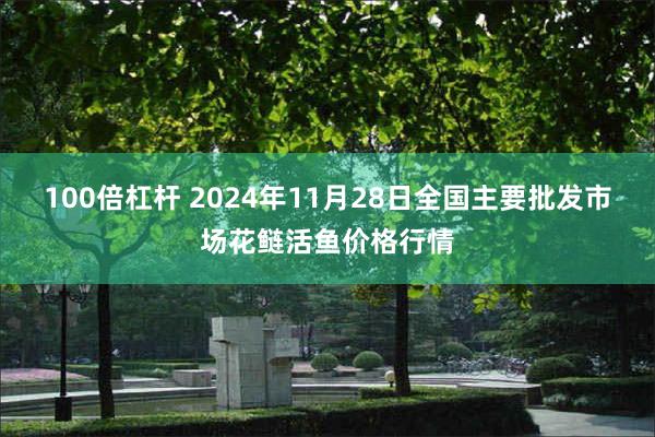 100倍杠杆 2024年11月28日全国主要批发市场花鲢活鱼价格行情