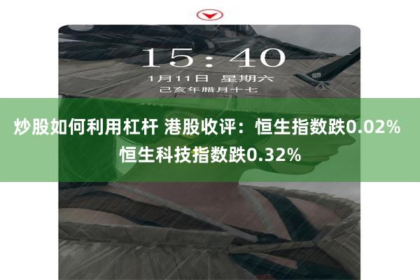 炒股如何利用杠杆 港股收评：恒生指数跌0.02% 恒生科技指数跌0.32%