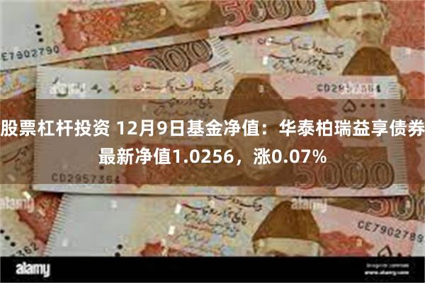 股票杠杆投资 12月9日基金净值：华泰柏瑞益享债券最新净值1.0256，涨0.07%