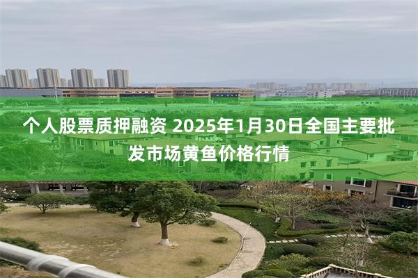 个人股票质押融资 2025年1月30日全国主要批发市场黄鱼价格行情