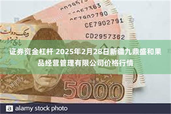 证券资金杠杆 2025年2月28日新疆九鼎盛和果品经营管理有限公司价格行情